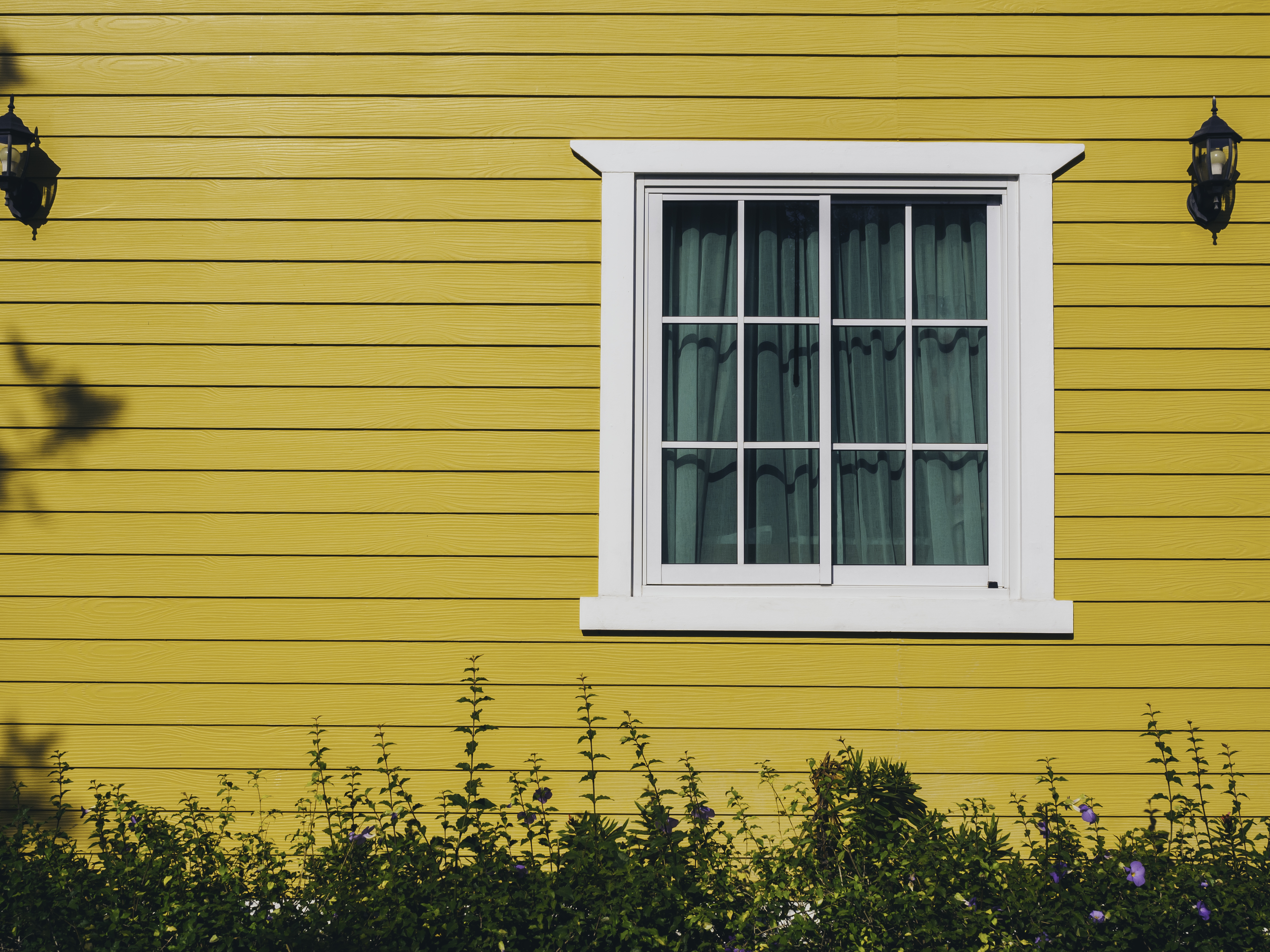 Painted clapboards and window